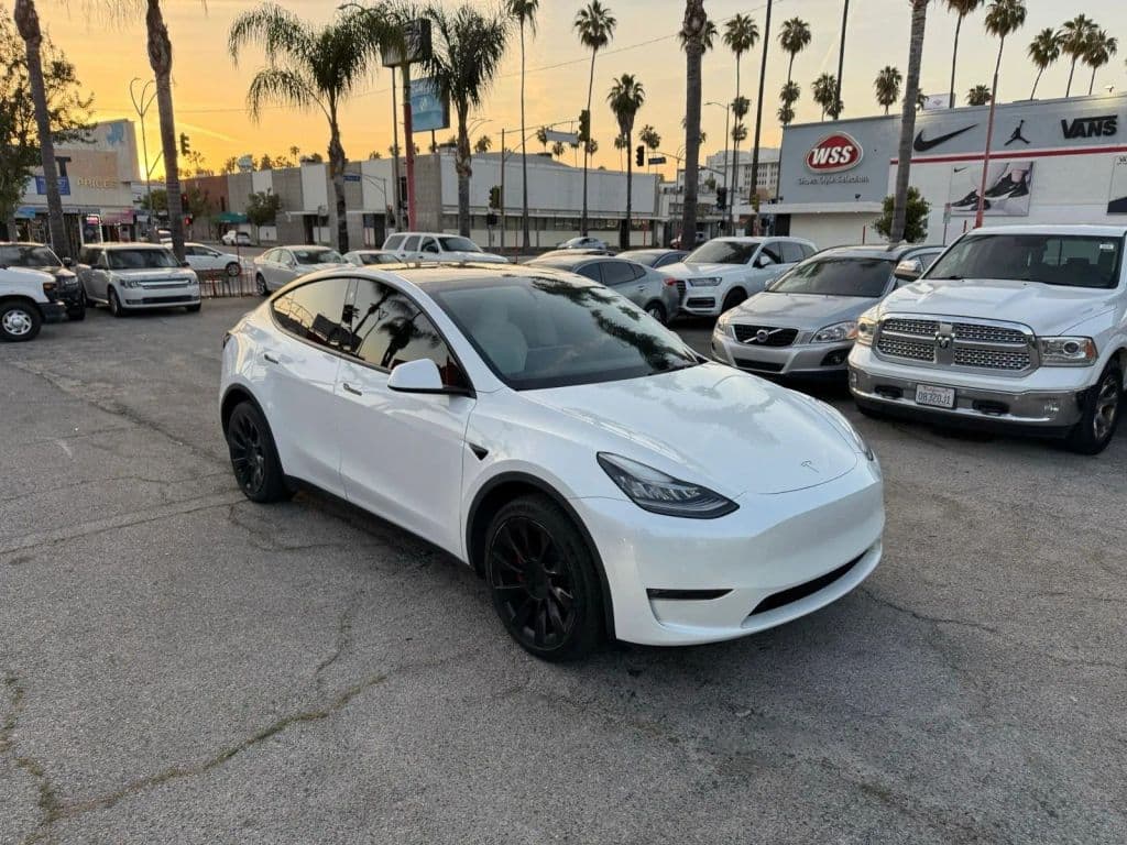 2021 TESLA MODEL Y